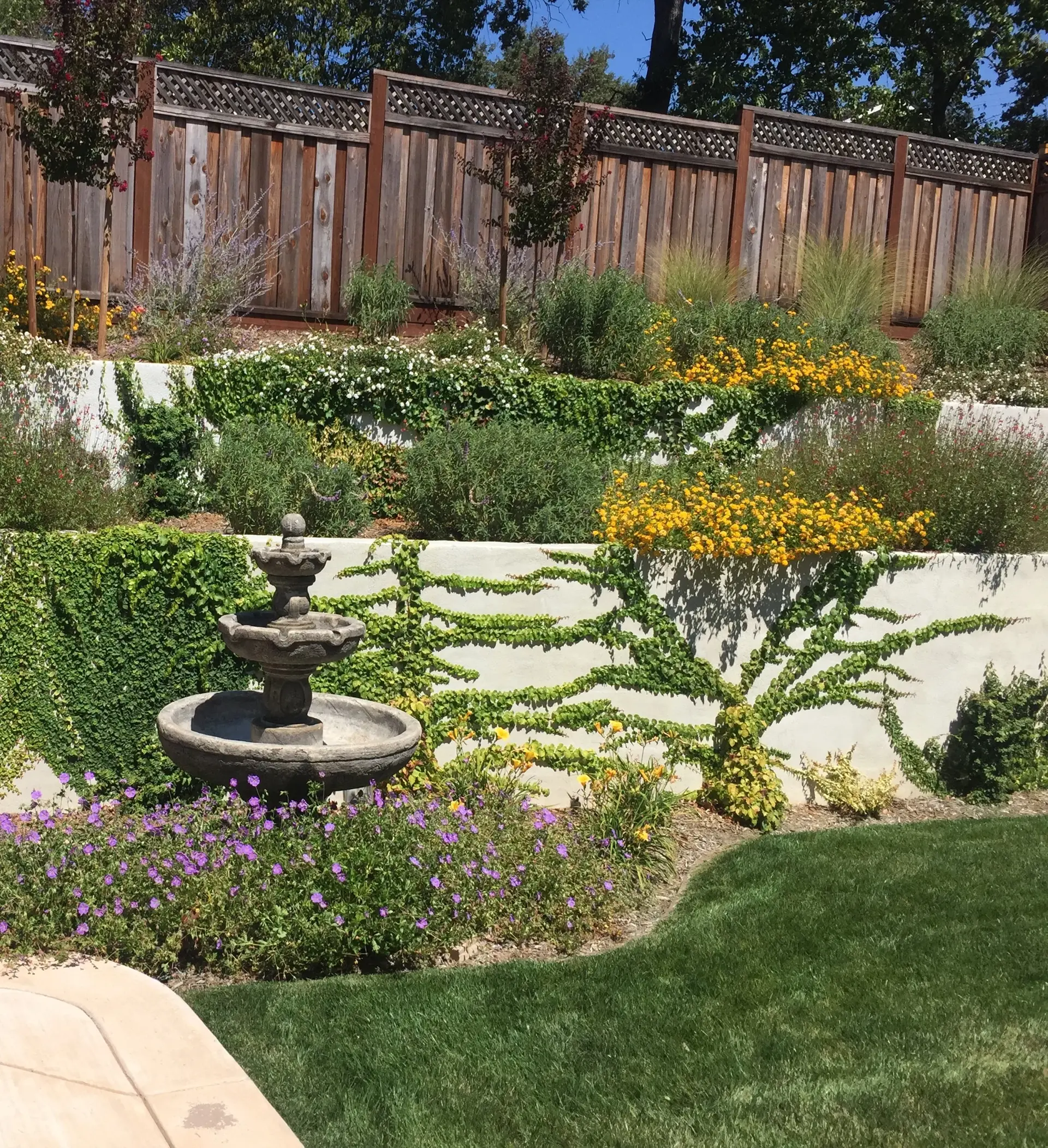 Landscape installation project