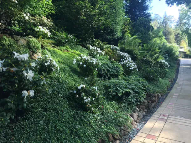 Flower installation