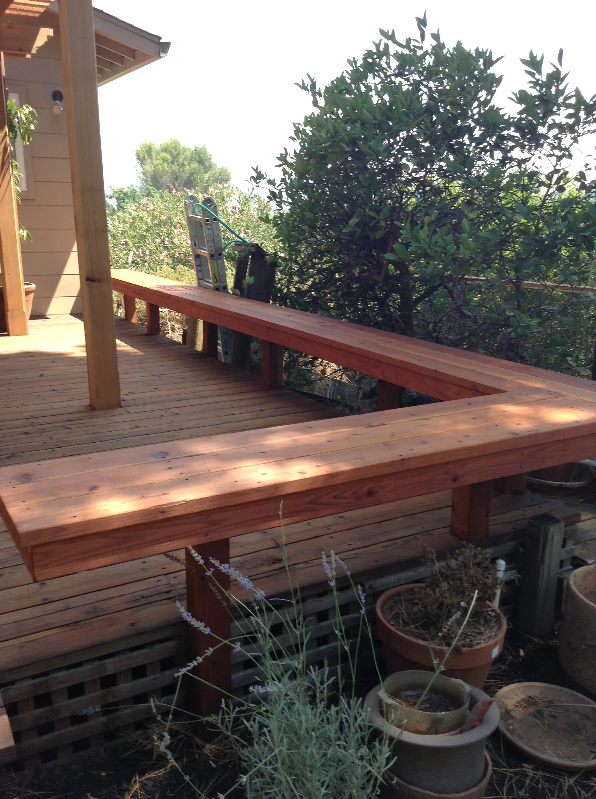 Jean Fogg Landscape project 133