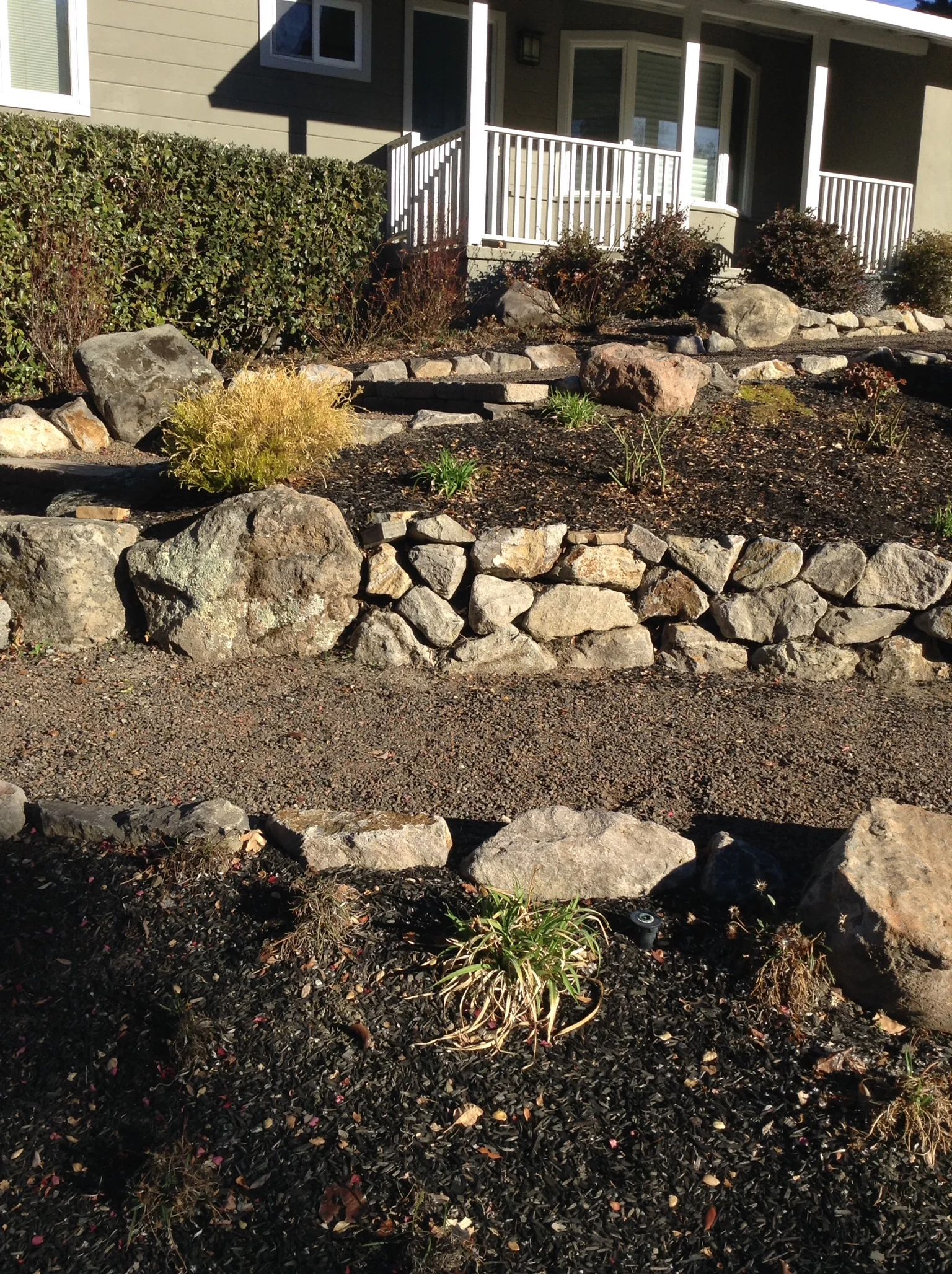 Jean Fogg Landscape project 131