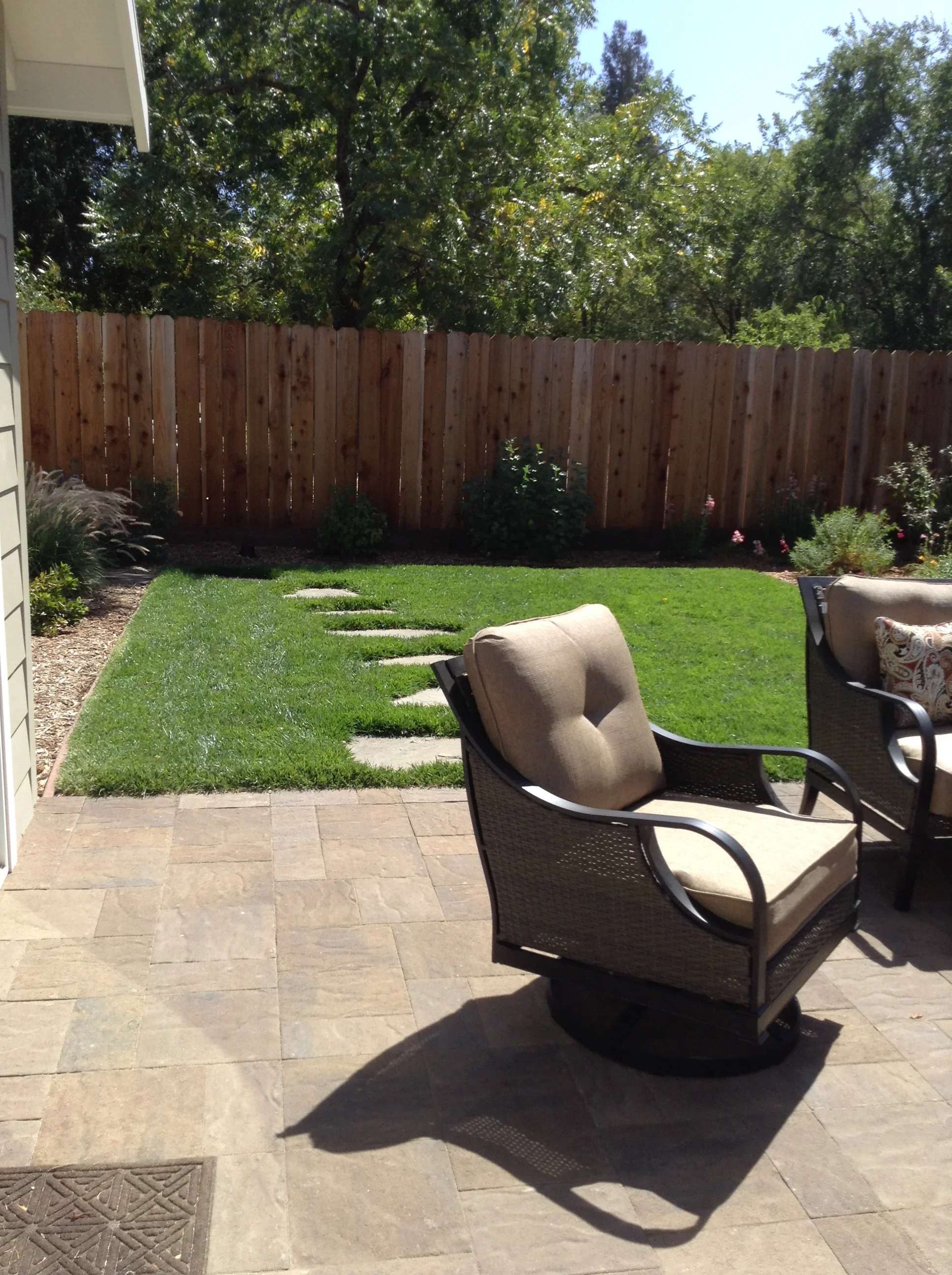 Jean Fogg Landscape project 123