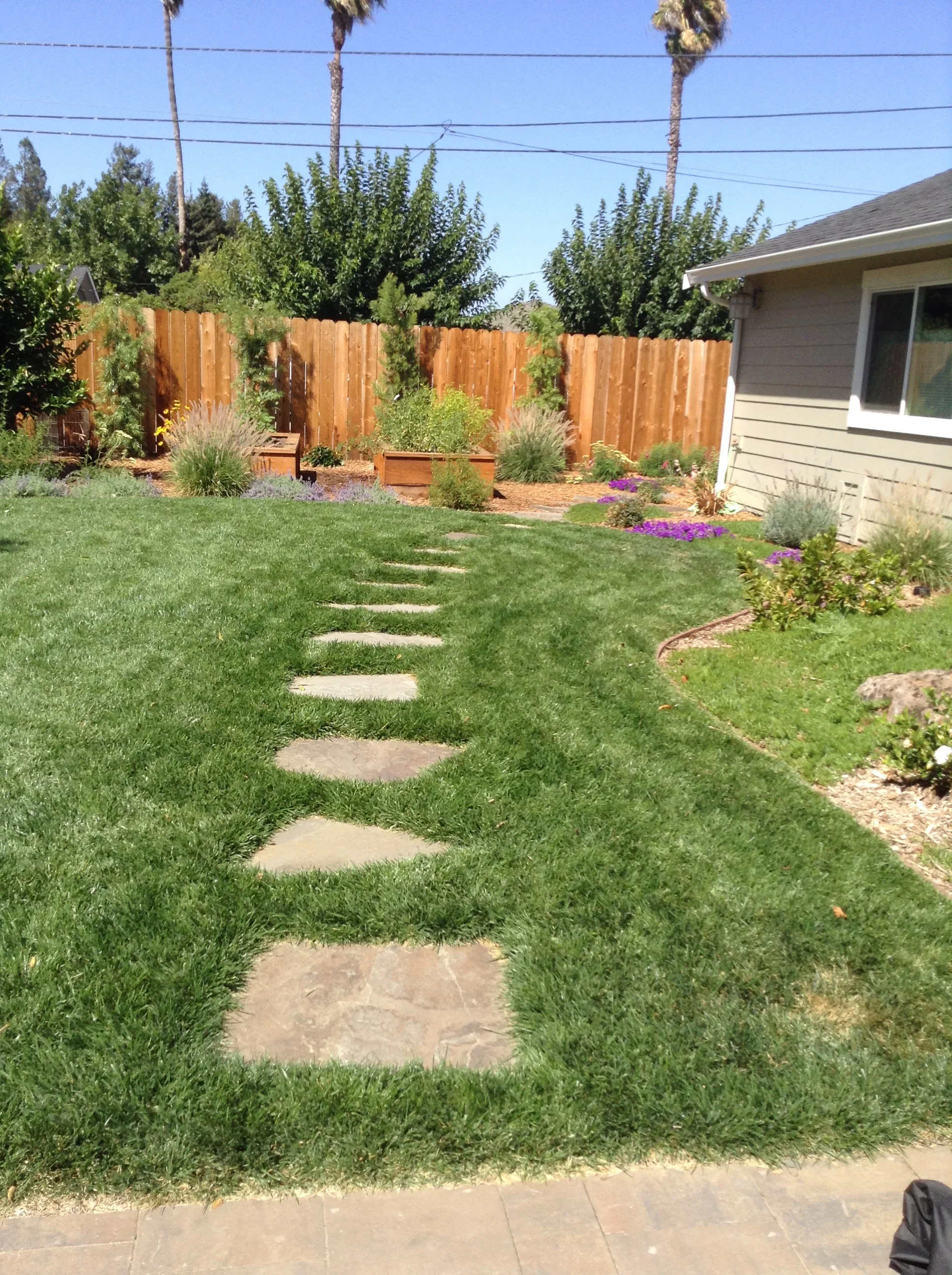 Jean Fogg Landscape project 121