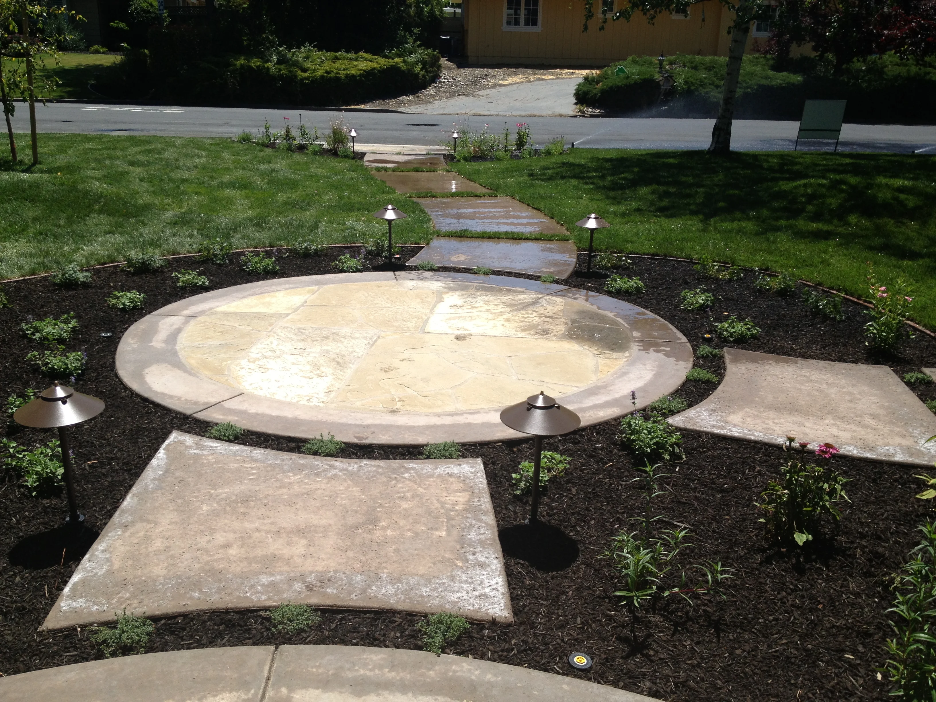 Jean Fogg Landscape project 116