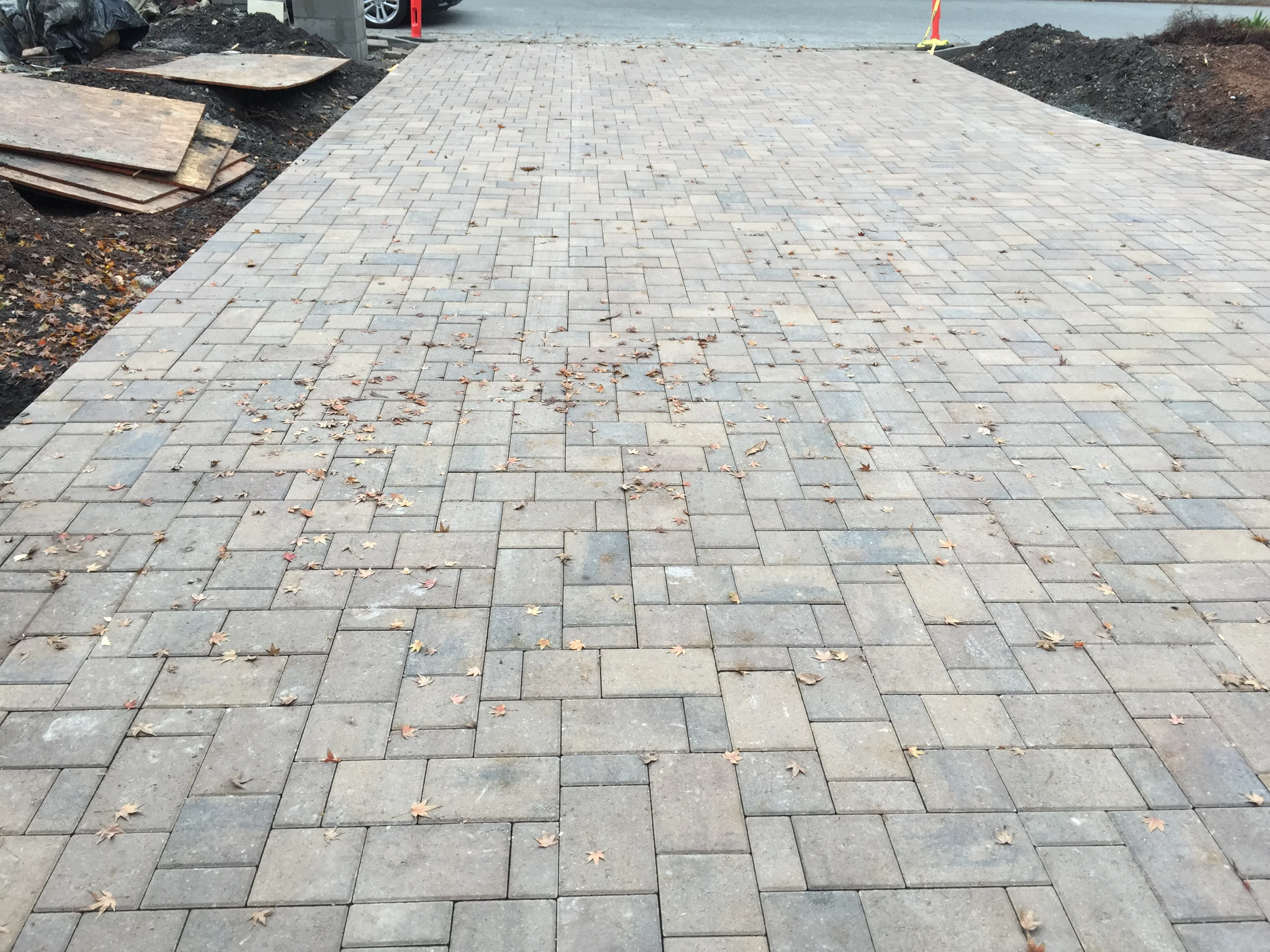 Jean Fogg Landscape project 106