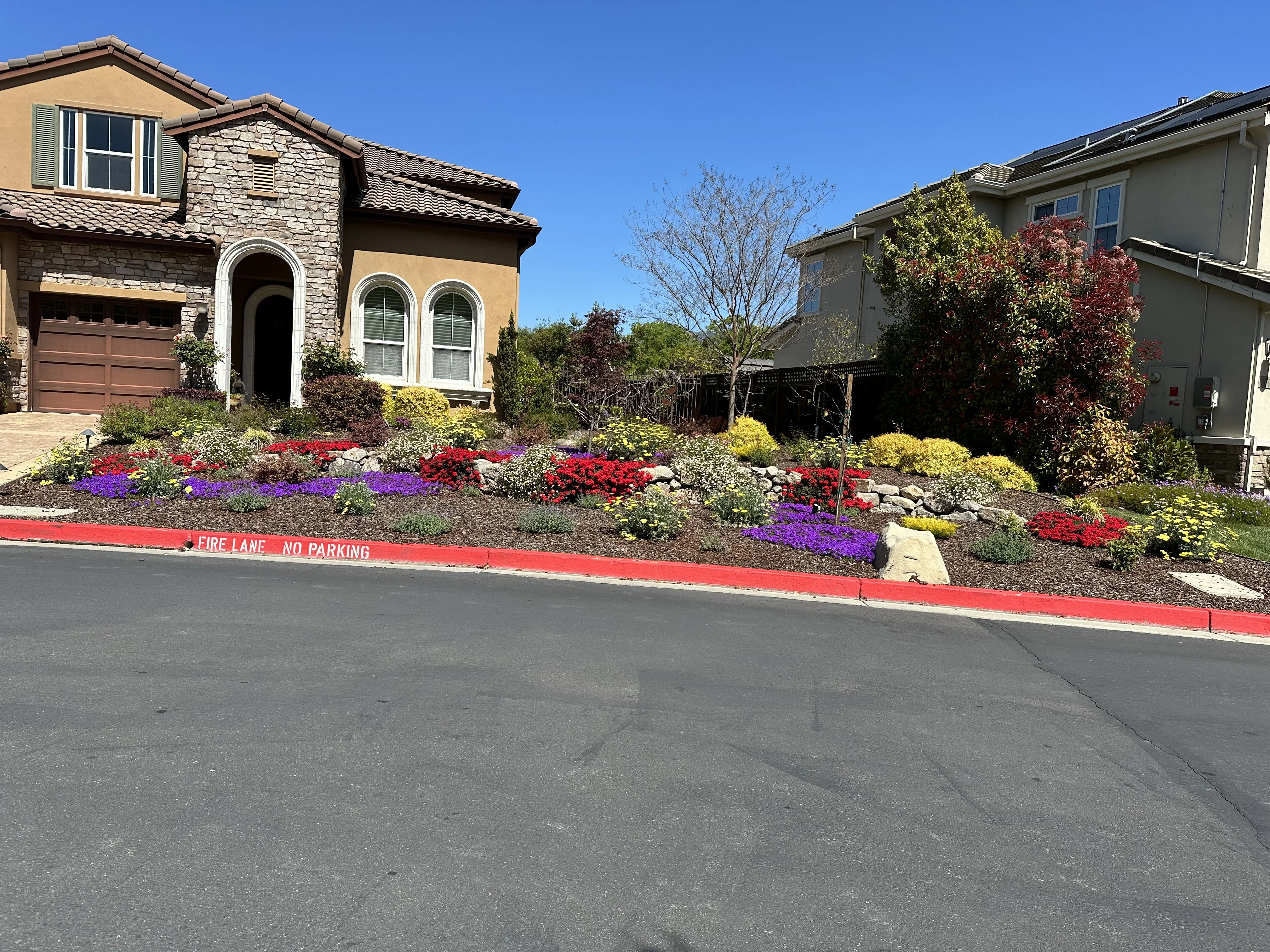 Jean Fogg Landscape project 100