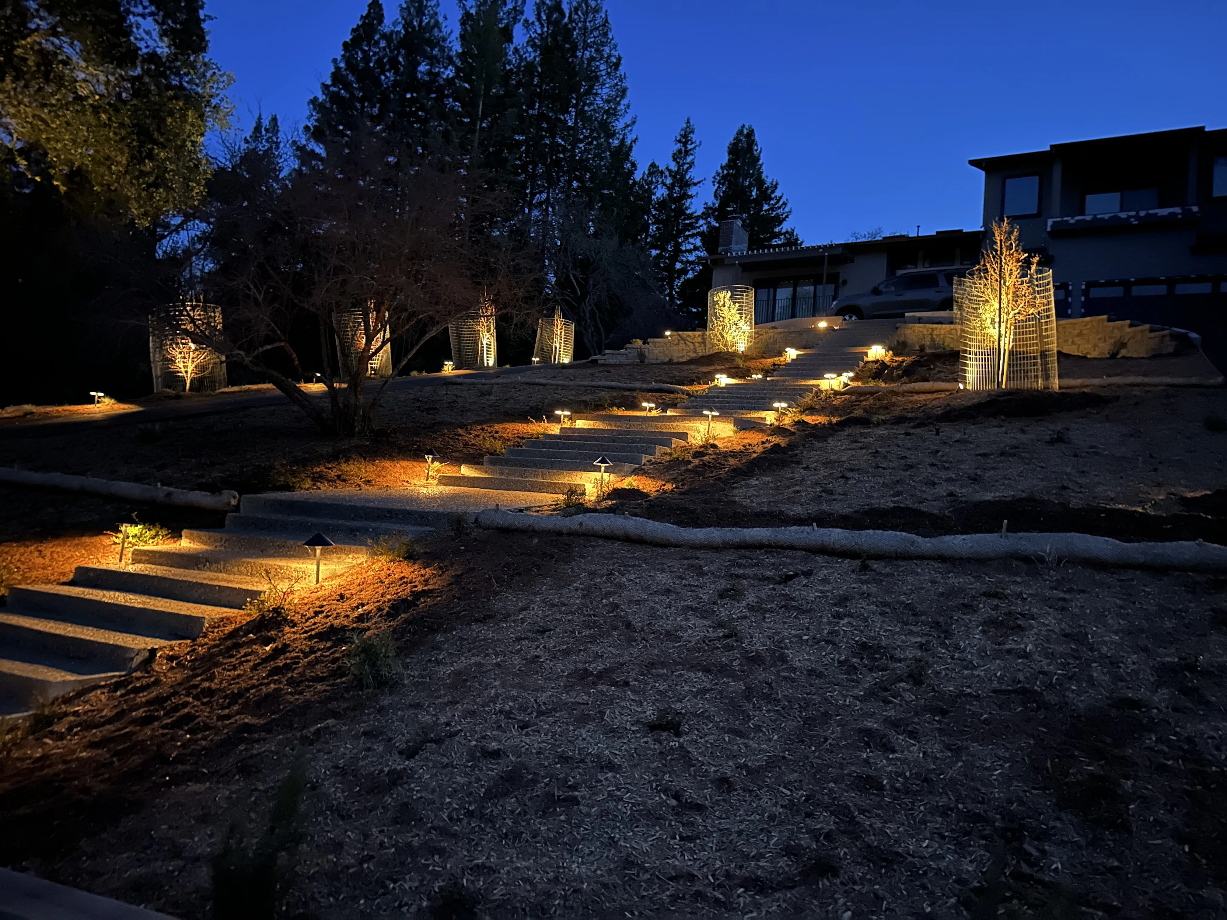 Jean Fogg Landscape project 76