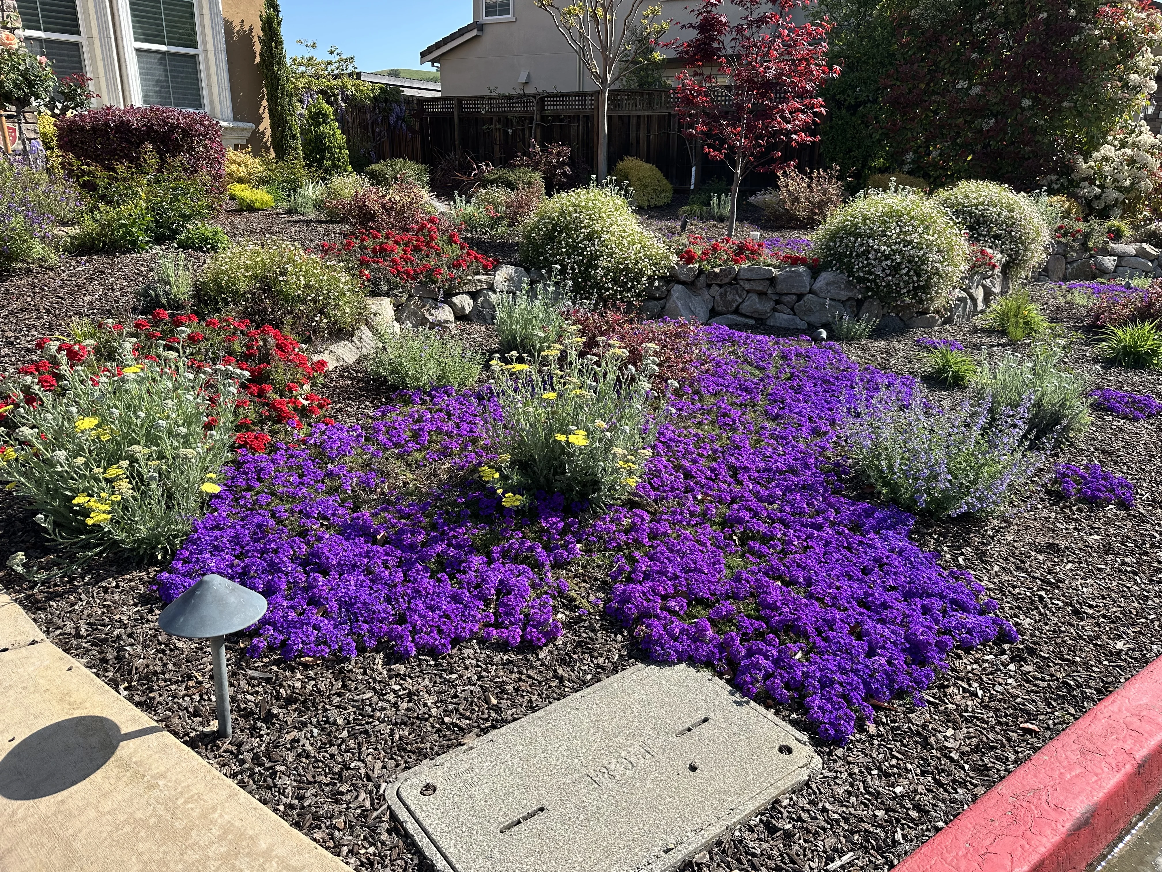 Jean Fogg Landscape project 74