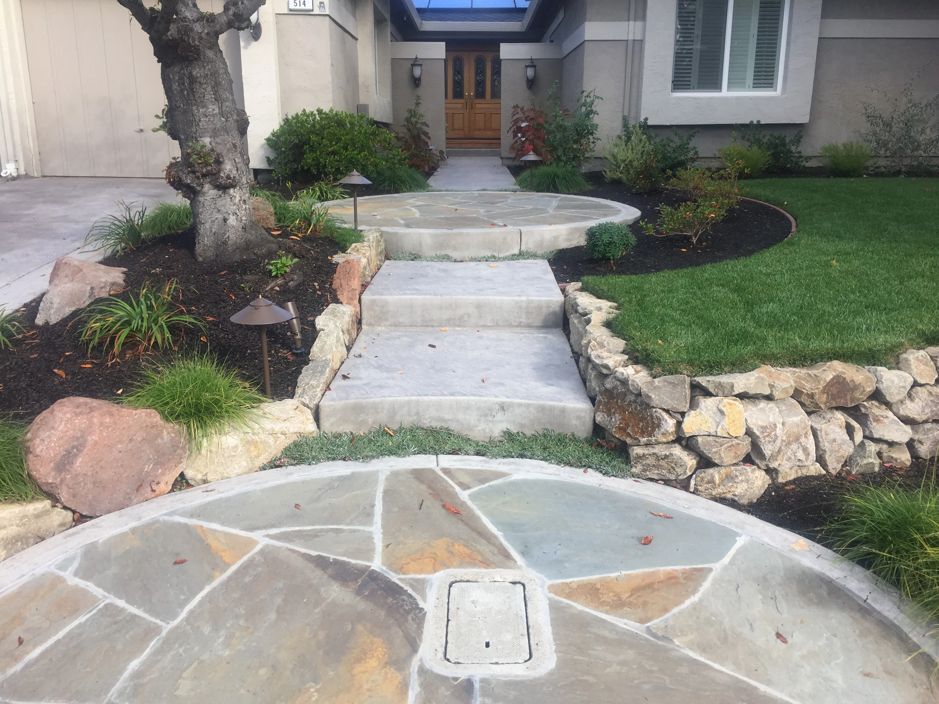 Jean Fogg Landscape project 63