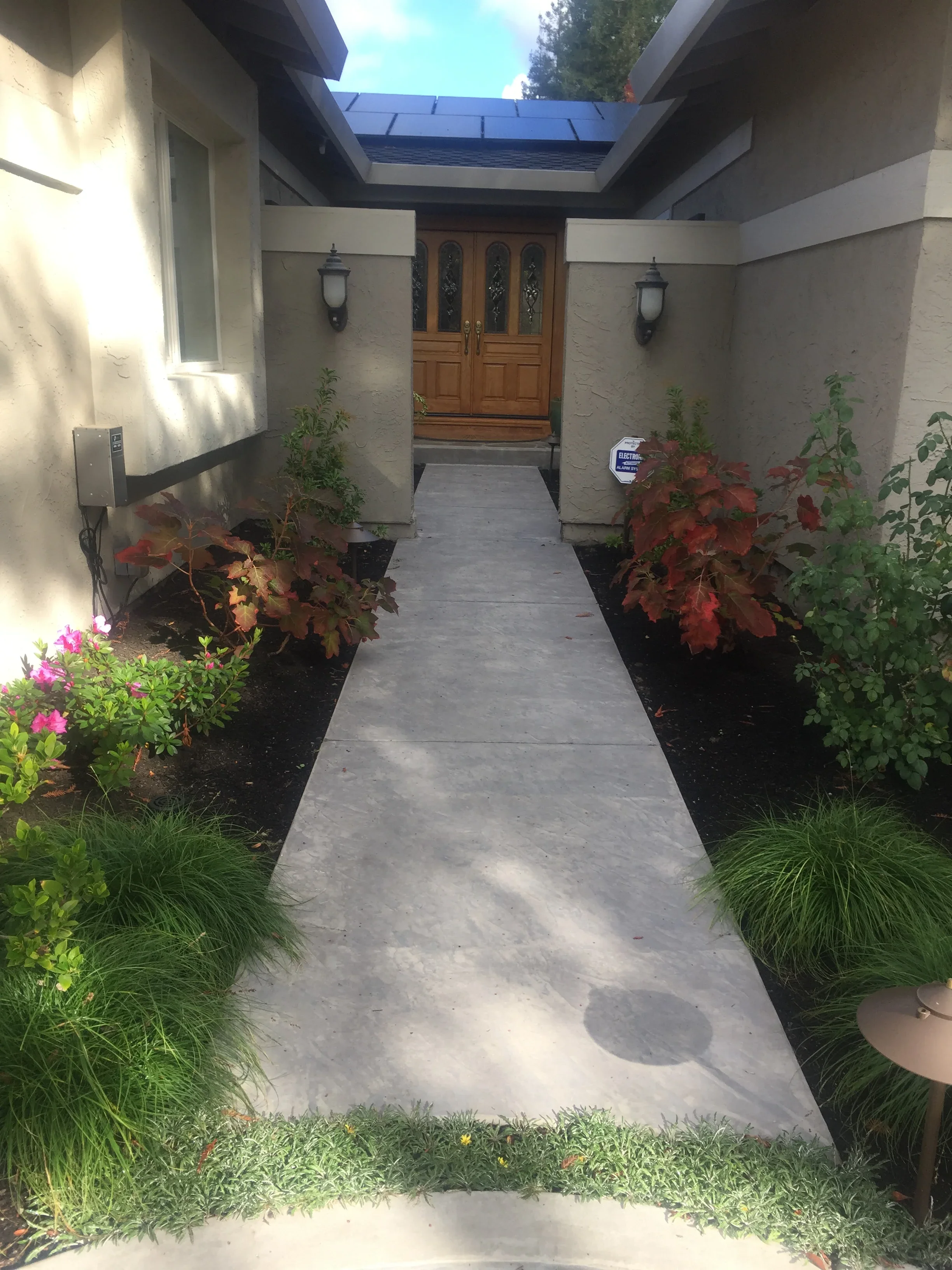 Jean Fogg Landscape project 61