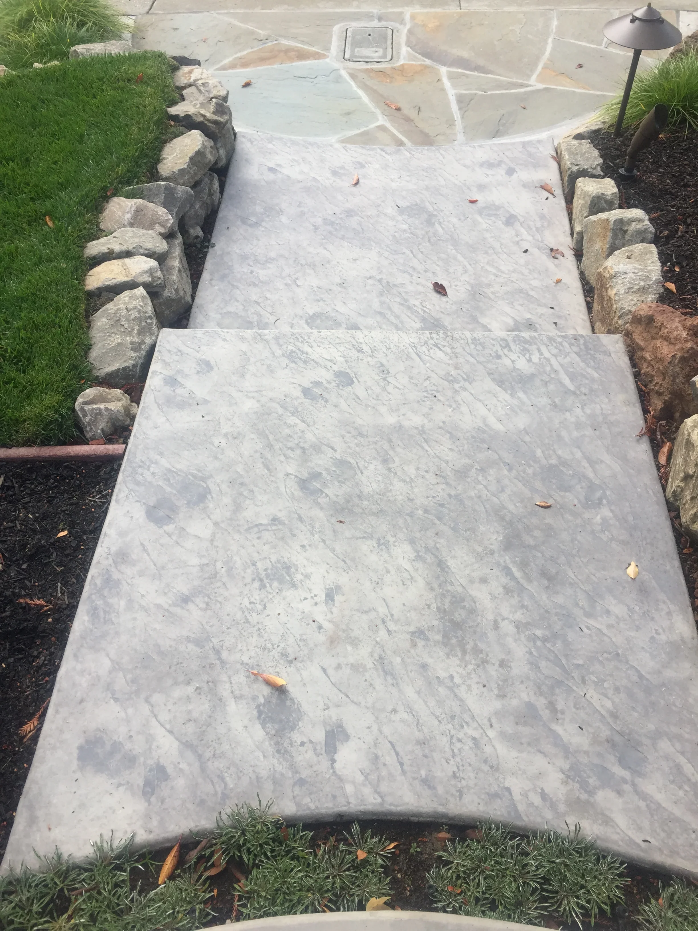 Jean Fogg Landscape project 59