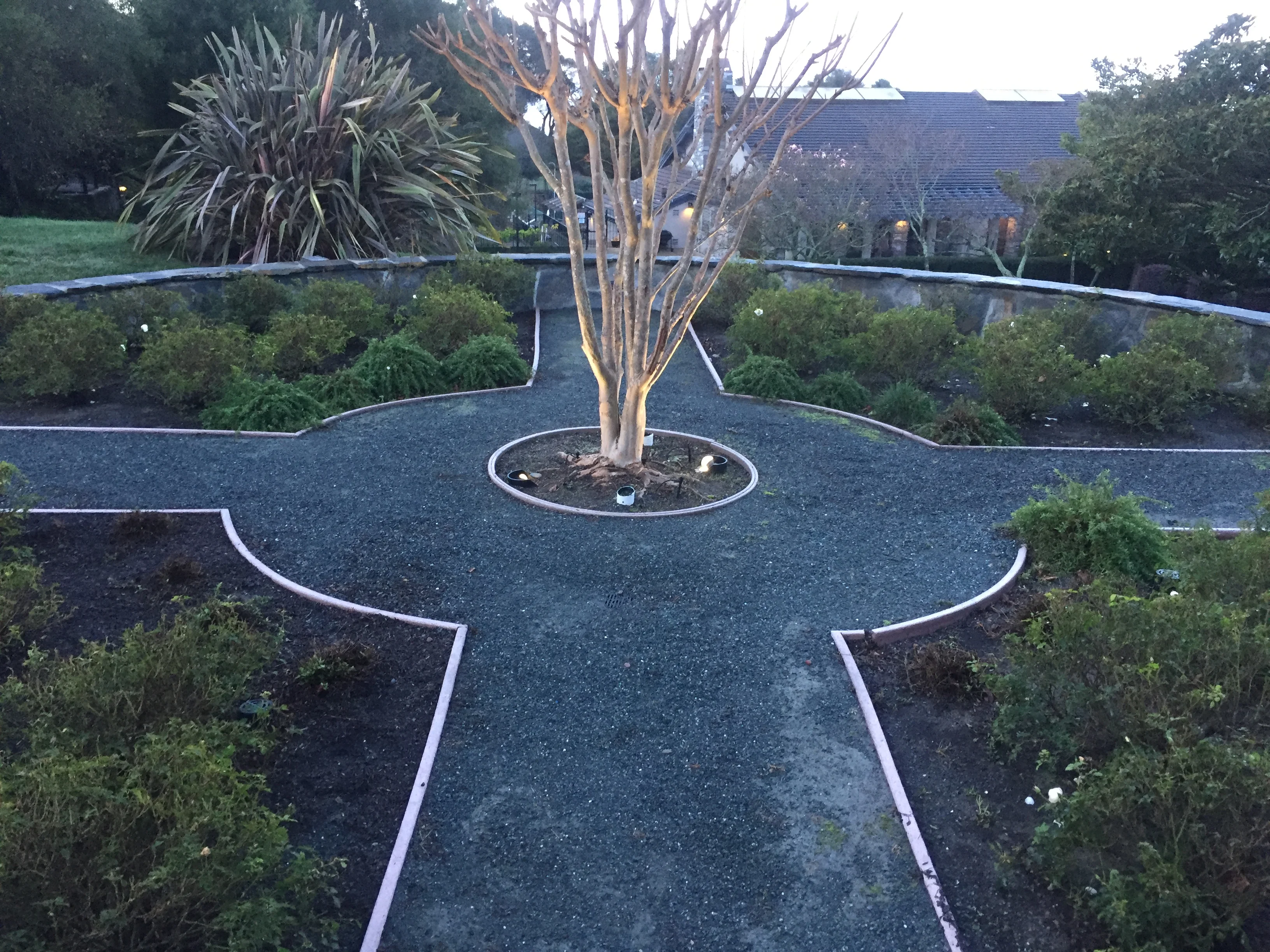 Jean Fogg Landscape project 41