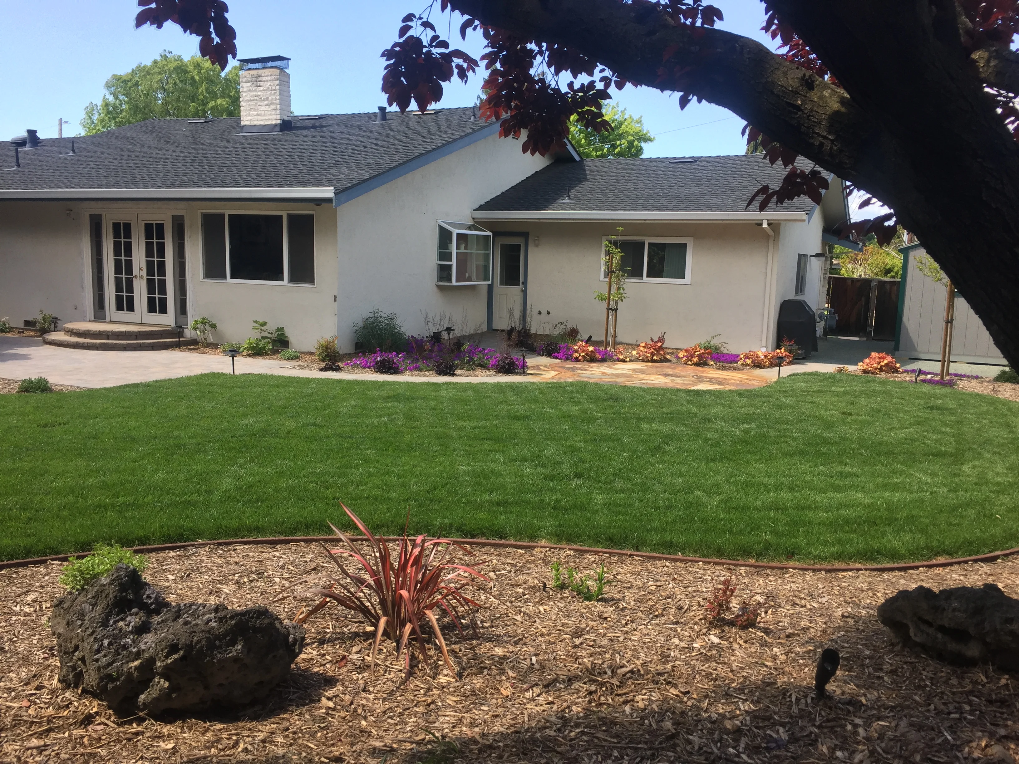 Jean Fogg Landscape project 36