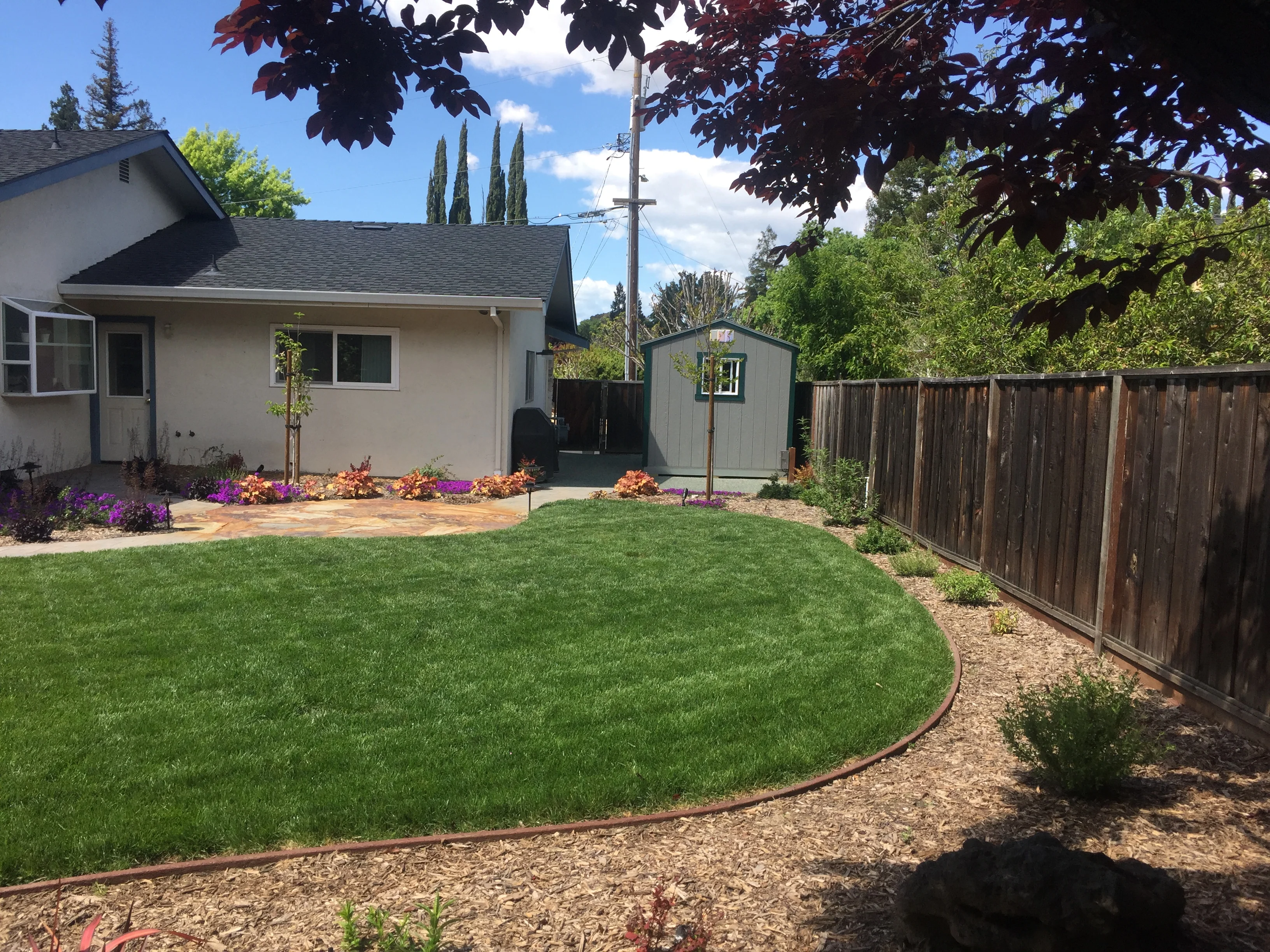 Jean Fogg Landscape project 34