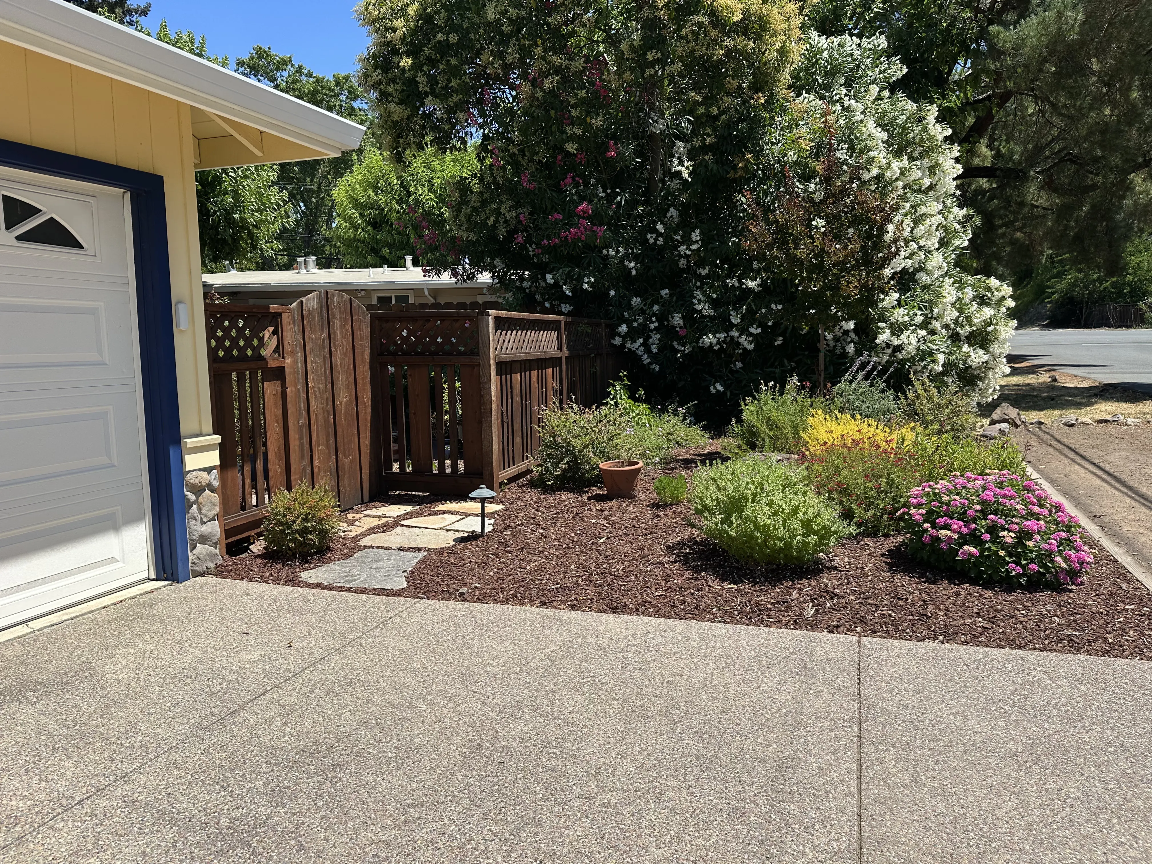 Drought Tolerant Plants 2