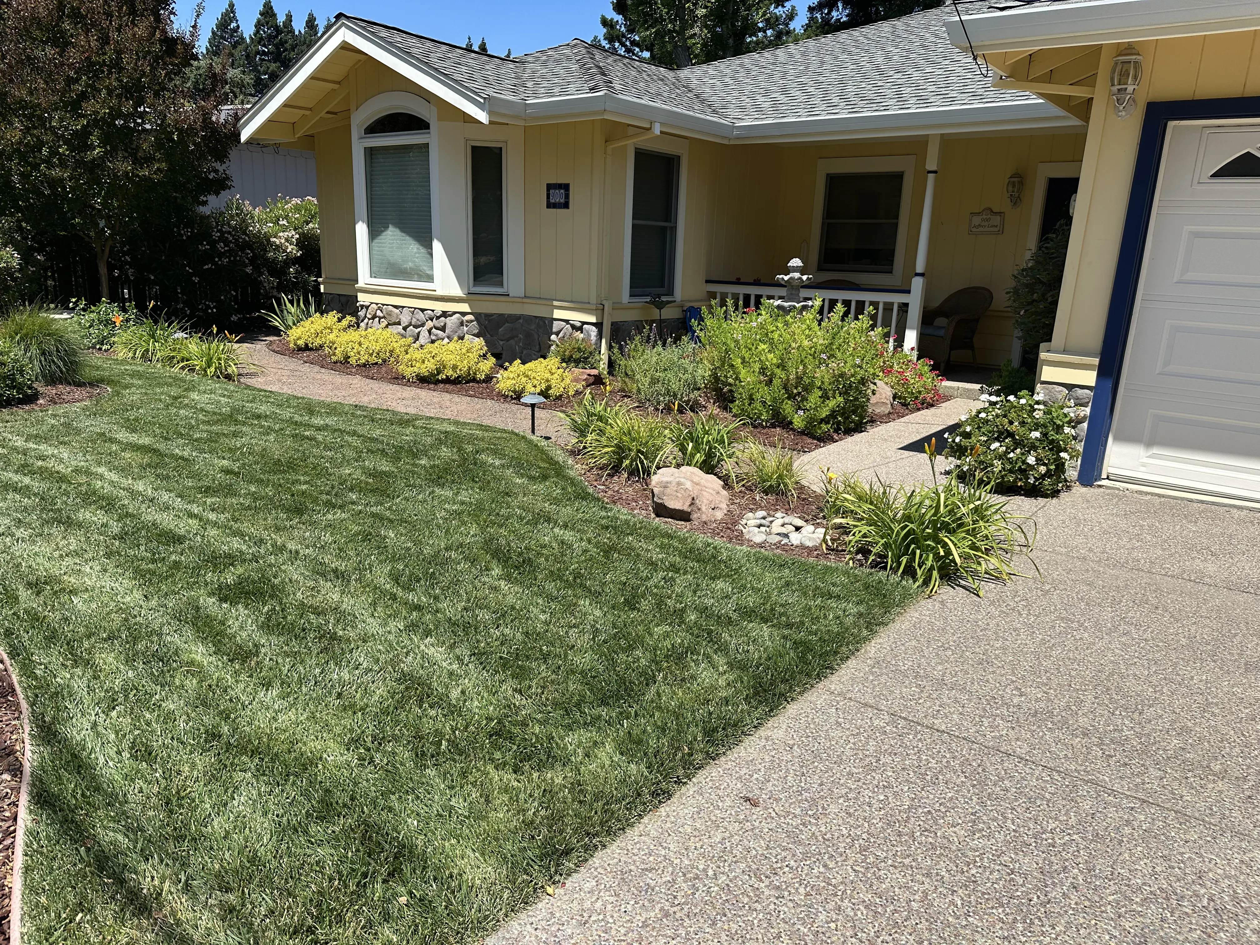 Drought Tolerant Plants 1