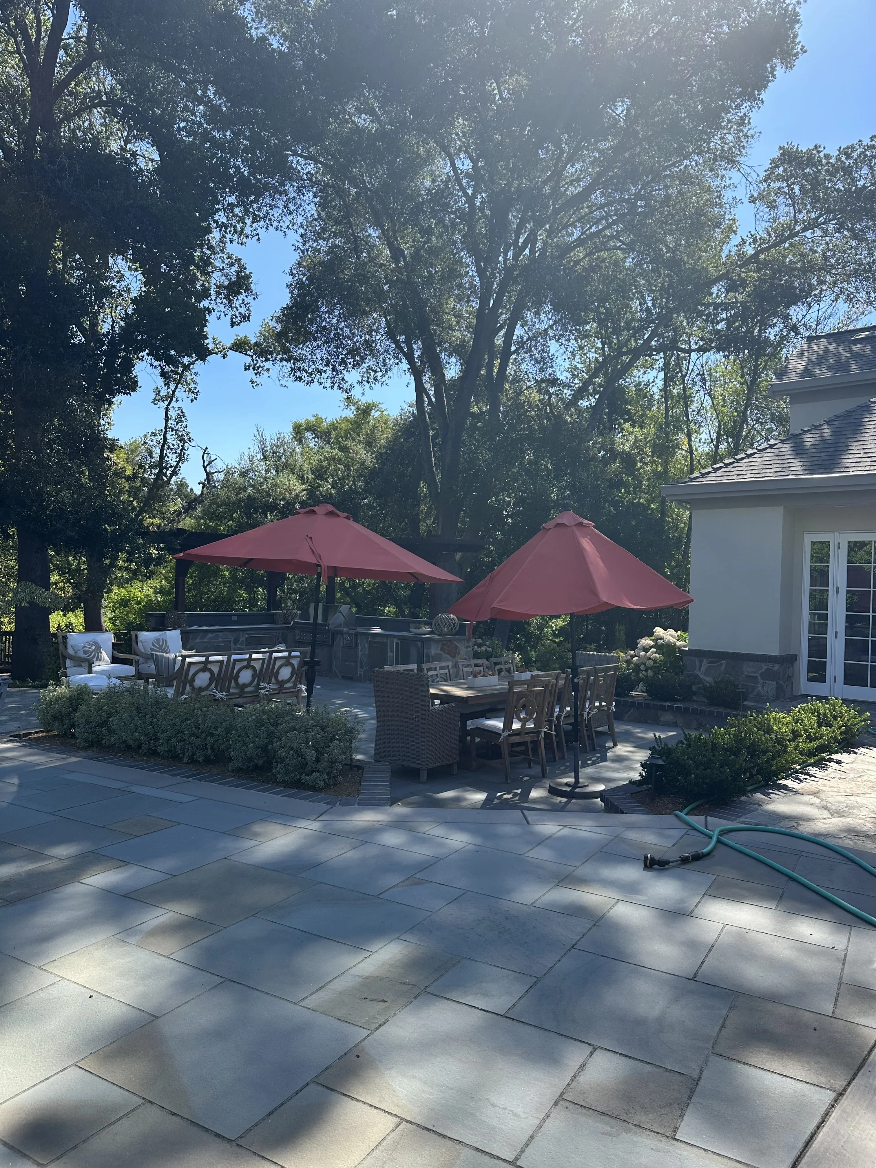 Jean Fogg Landscape project 13