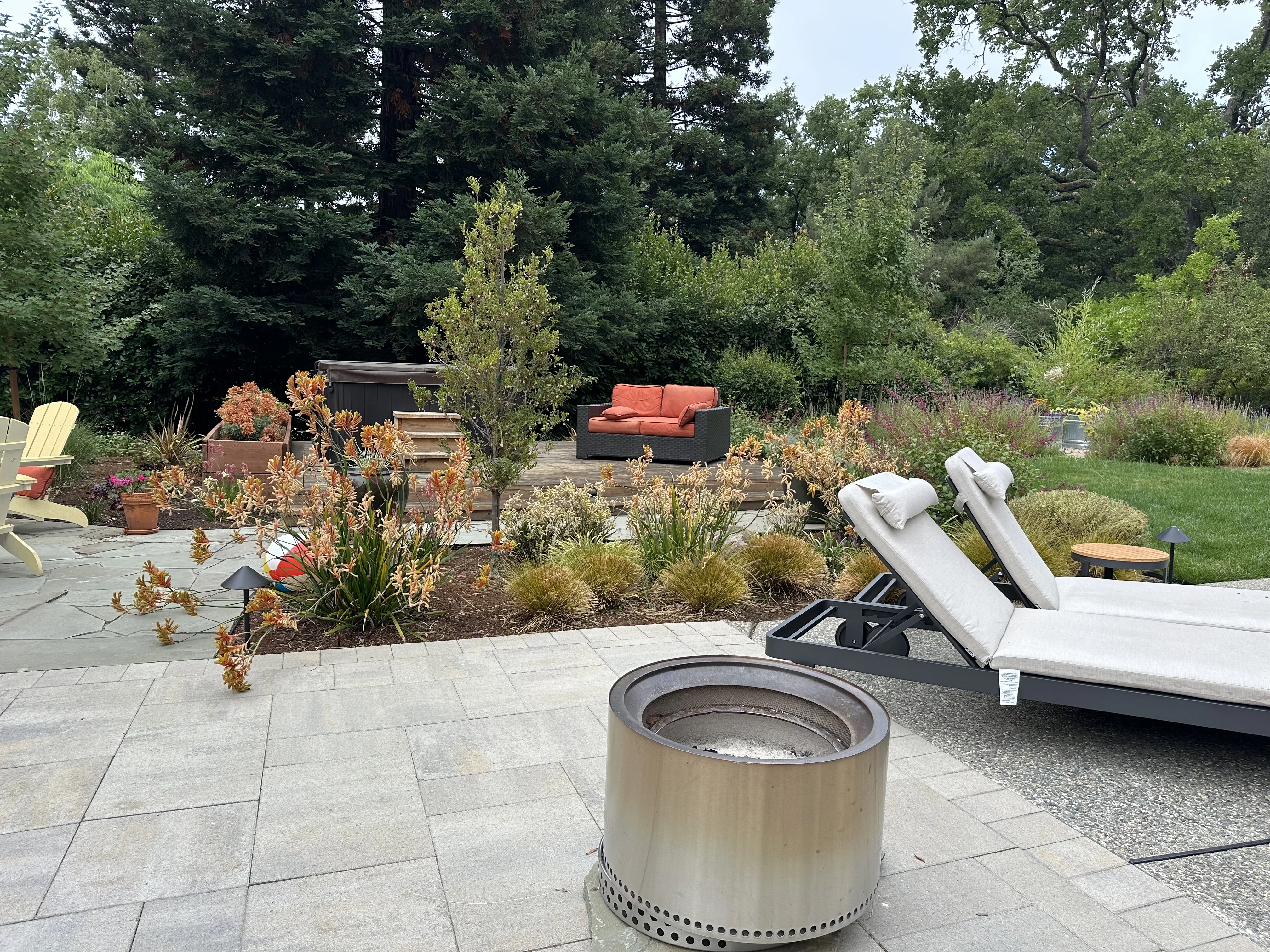 Jean Fogg Landscape project 2