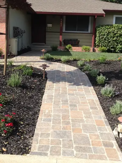 Jean Fogg Landscape project 129