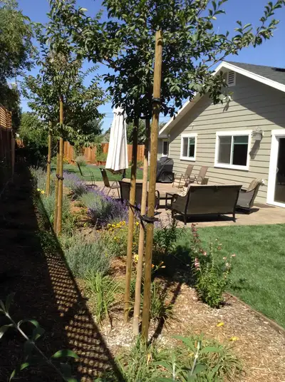 Jean Fogg Landscape project 126