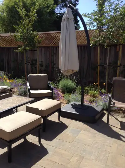 Jean Fogg Landscape project 123