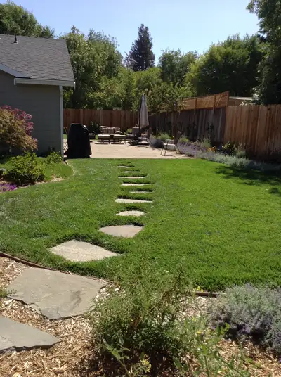 Jean Fogg Landscape project 120