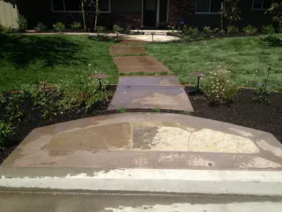 Jean Fogg Landscape project 118