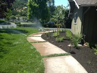 Jean Fogg Landscape project 116