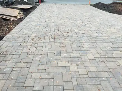 Jean Fogg Landscape project 107