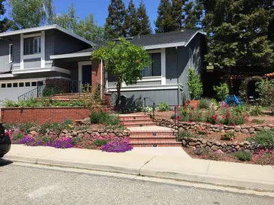 Jean Fogg Landscape project 104