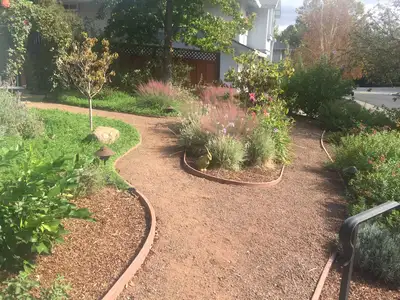 Jean Fogg Landscape project 88