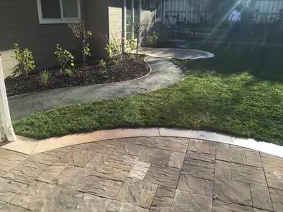 Jean Fogg Landscape project 86