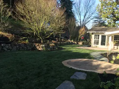 Jean Fogg Landscape project 85