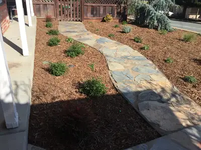 Jean Fogg Landscape project 80