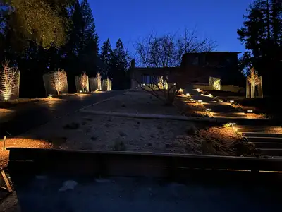 Jean Fogg Landscape project 79