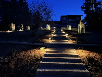 Jean Fogg Landscape project 78