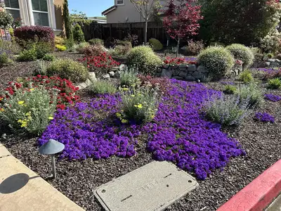 Jean Fogg Landscape project 75