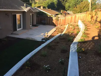 Jean Fogg Landscape project 74