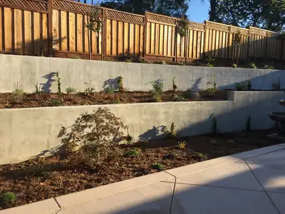 Jean Fogg Landscape project 72