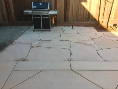 Jean Fogg Landscape project 71