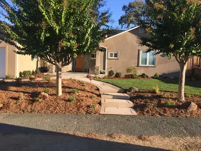 Jean Fogg Landscape project 70