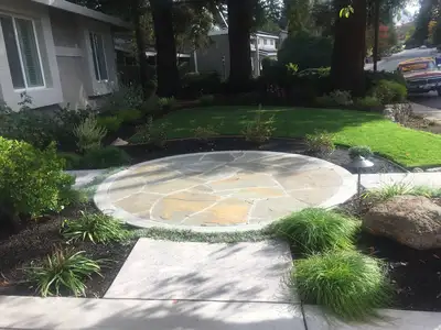 Jean Fogg Landscape project 63