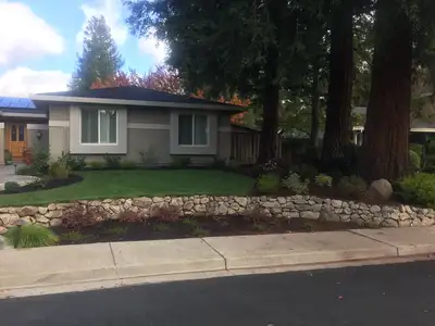 Jean Fogg Landscape project 58