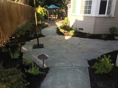 Jean Fogg Landscape project 55