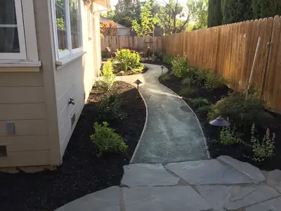 Jean Fogg Landscape project 53