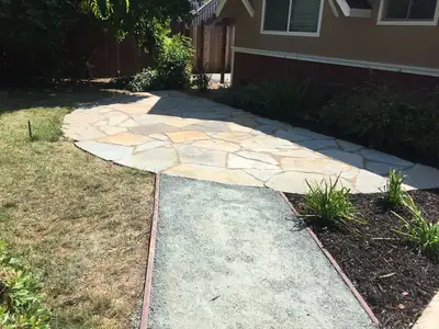 Jean Fogg Landscape project 52