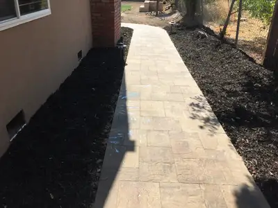 Jean Fogg Landscape project 50