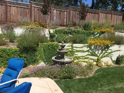 Jean Fogg Landscape project 49