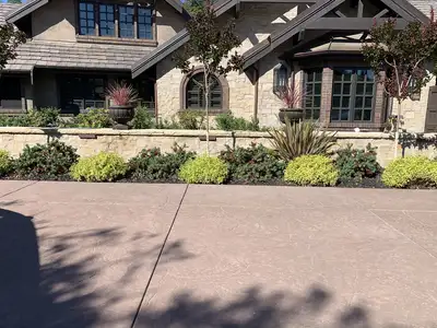 Jean Fogg Landscape project 48