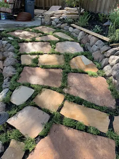 Jean Fogg Landscape project 41