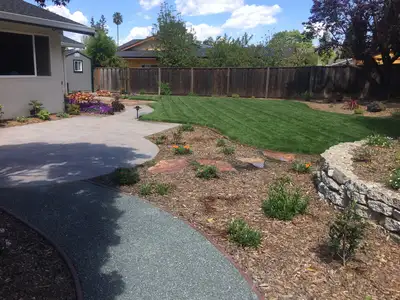 Jean Fogg Landscape project 40